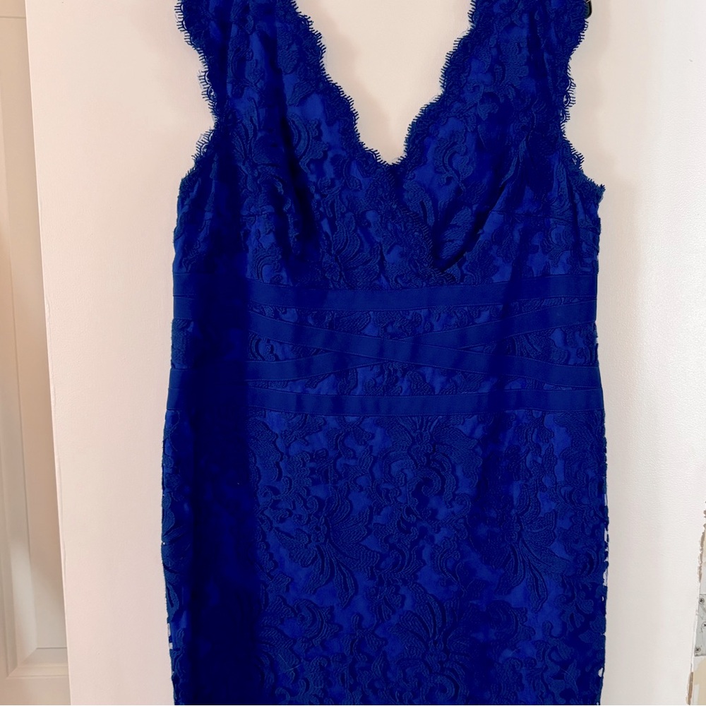 Stunning Tadashi Shoji Too Dress Size 18